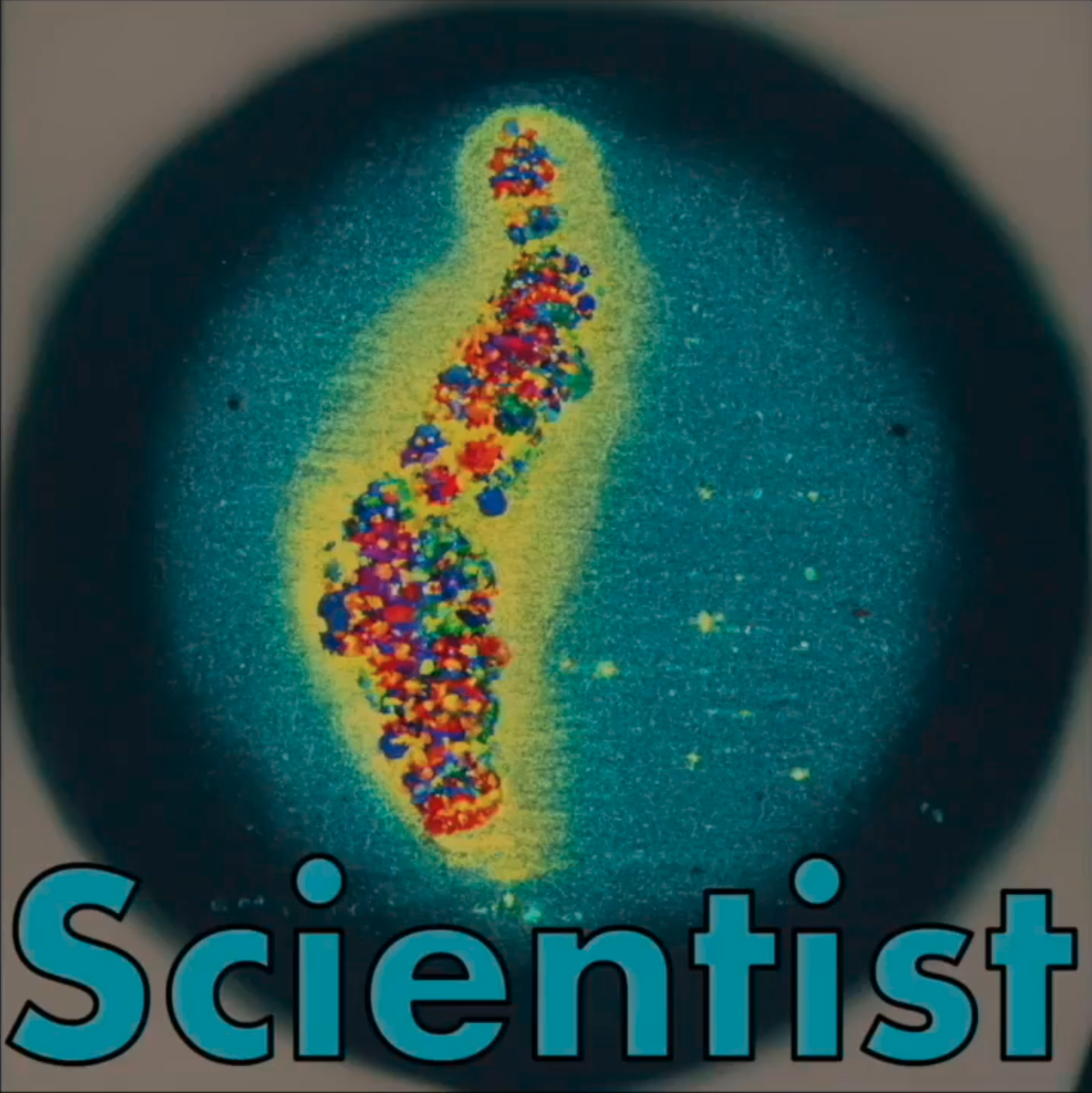 Scientist