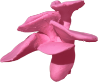 A pink clay fan-shaped mushroom