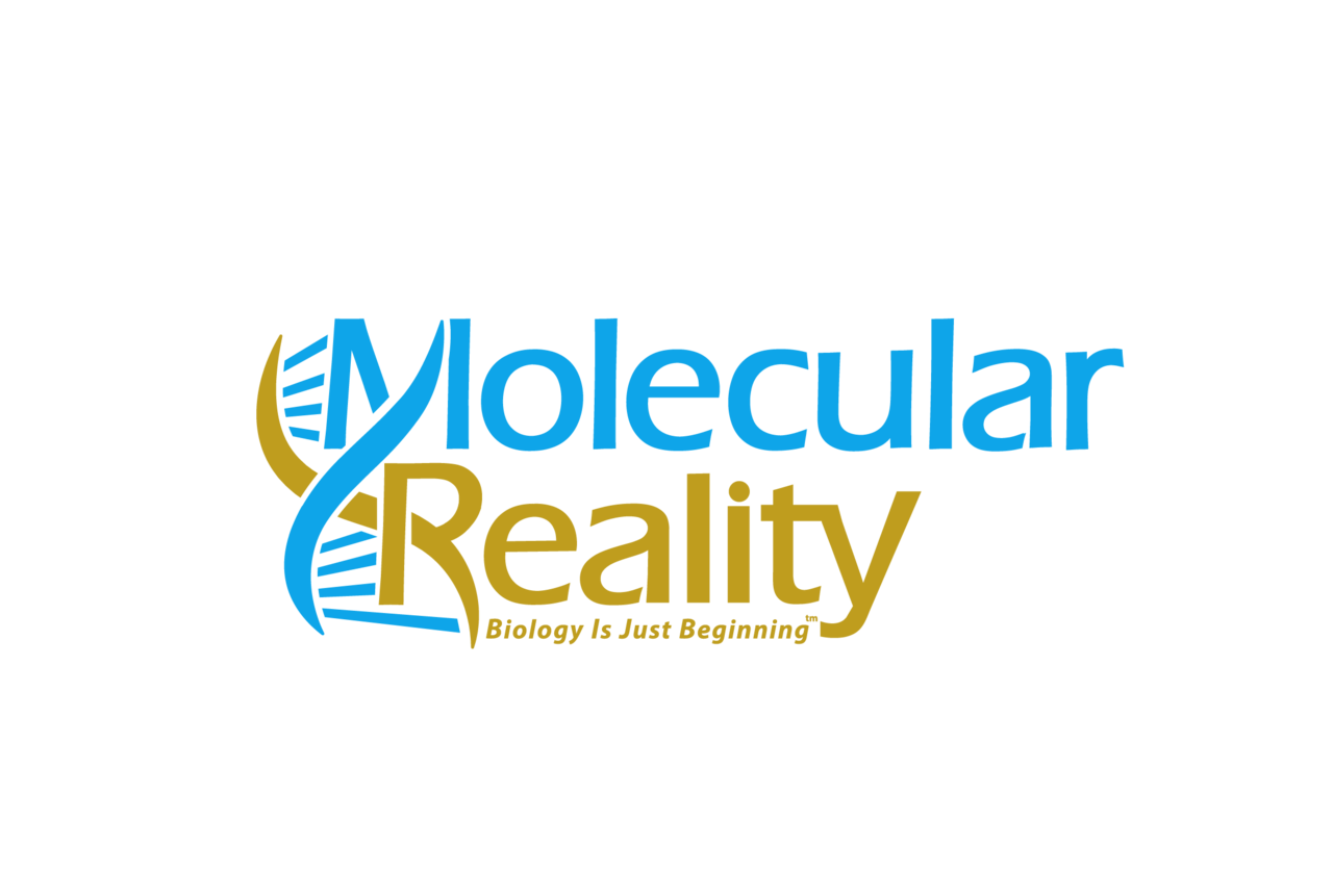 Wordmark colourway: blue Molecular, gold Reality, blue and gold helix.